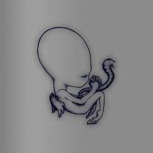Sigur Rós Ágætis byrjun A Good Beginning 20th Anniversary 4CD Released 05/07/19