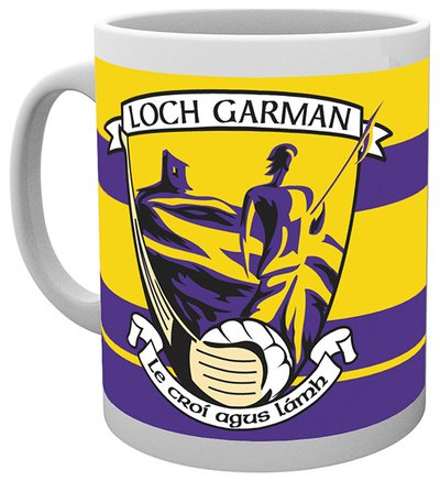 GAA COUNTY CREST BOX MUG WEXFORD