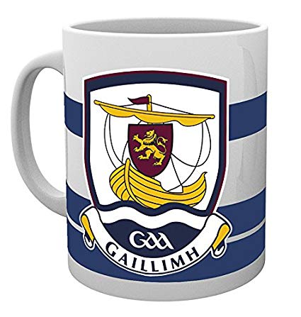GAA COUNTY CREST BOX MUG GALWAY