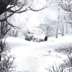 Weezer - SZNZ: Winter - New CD - PreOrder Released 10/02/2023