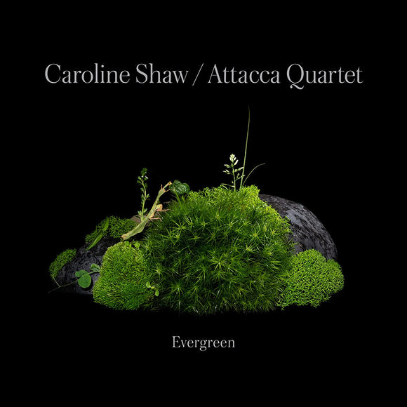 Caroline Shaw & Attacca Quarte - Evergreen - New CD - PreOrder 23/09/2022
