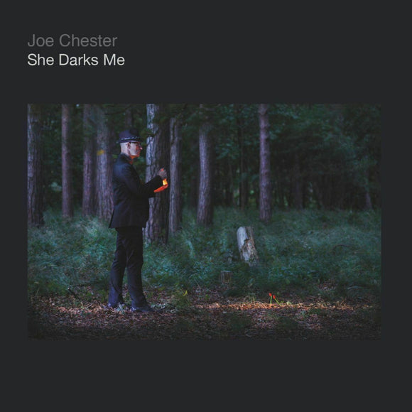 Joe Chester - She Darks Me - New CD Album
