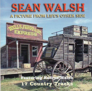 Sean Walsh - A Picture From Life's Other Side - New CD