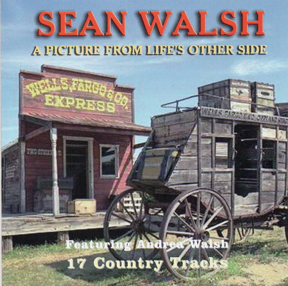 Sean Walsh - A Picture From Life's Other Side - New CD